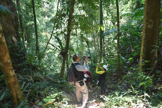 Wildlife Tours